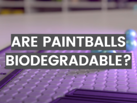 Are Paintballs Biodegradable?