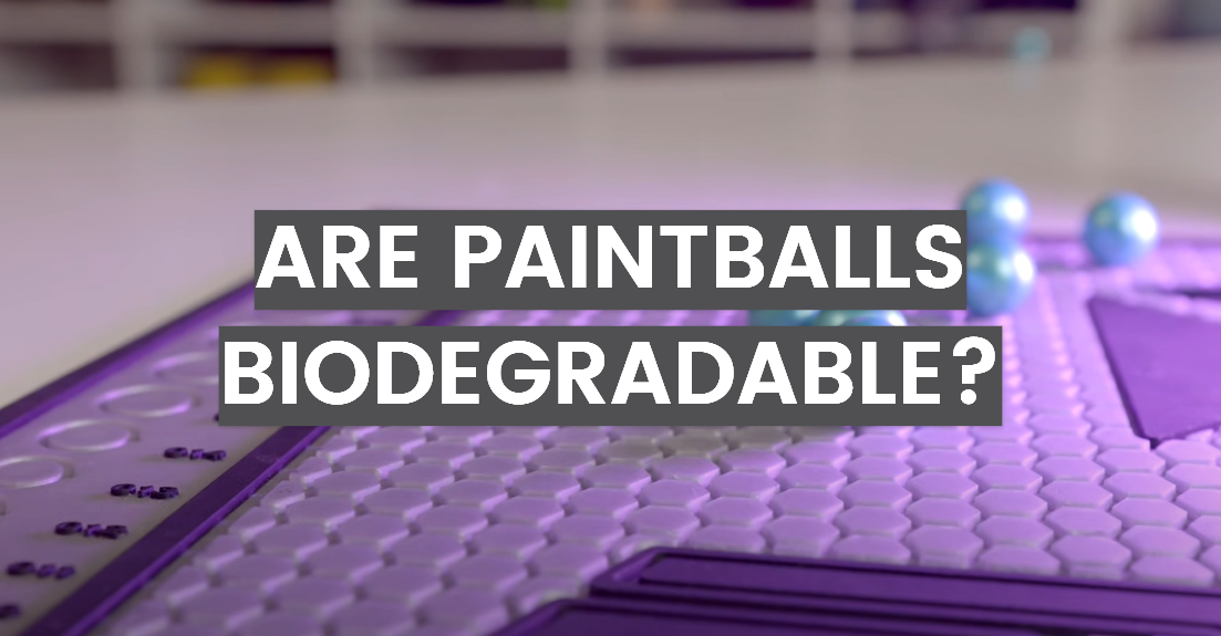 Are Paintballs Biodegradable?