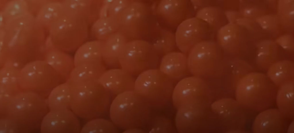 Paintballs Are Environmentally Safe