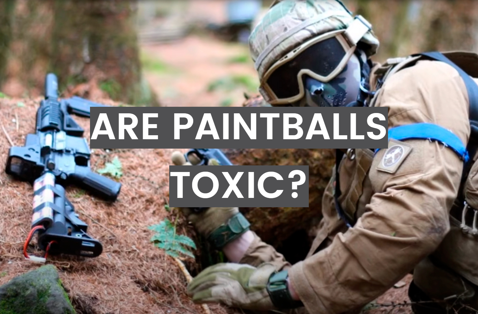 Are Paintballs Toxic?